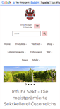 Mobile Screenshot of infuehr.at